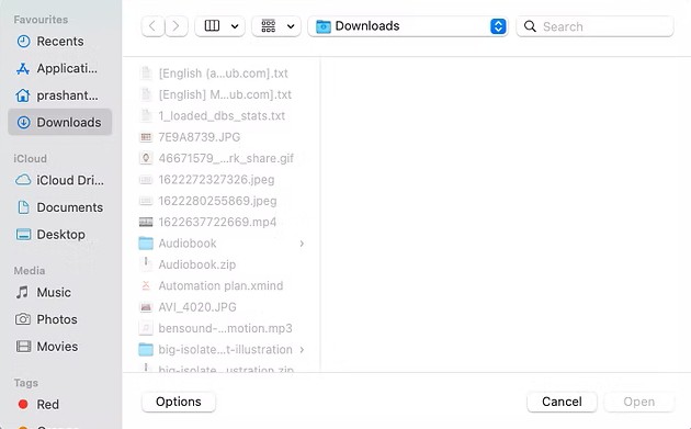 Poka yoke in software met een bestandskiezer die alleen toegestane bestandstypen selecteerbaar maakt